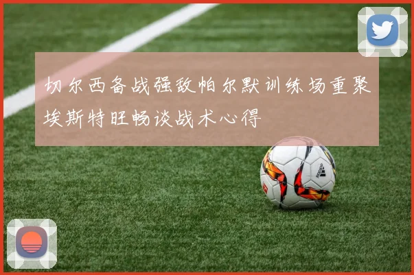 切尔西备战强敌帕尔默训练场重聚埃斯特旺畅谈战术心得