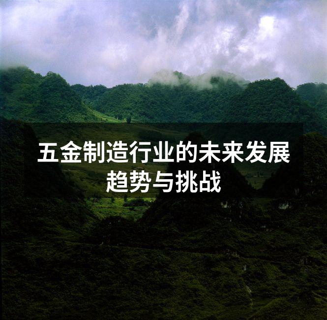 五金制造行业的未来发展趋势与挑战